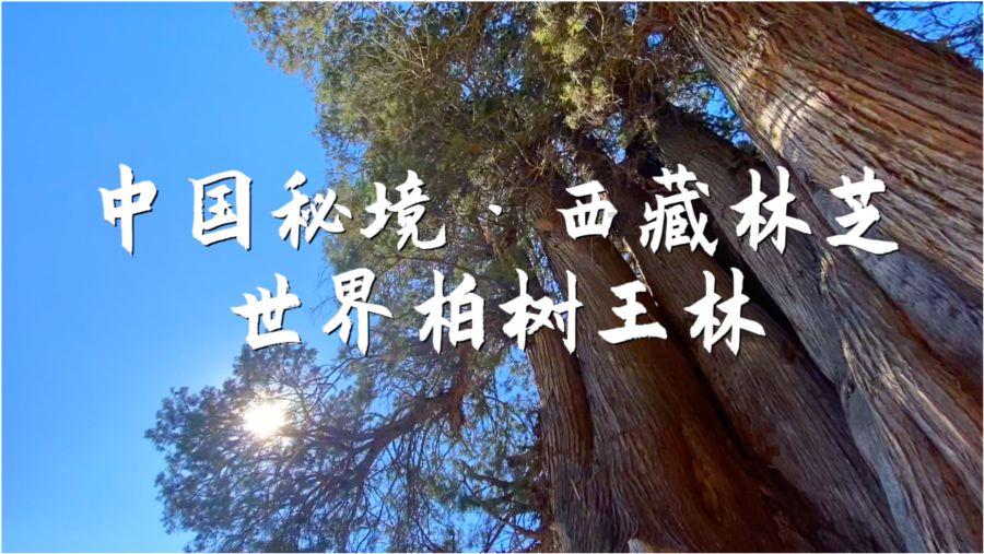 逃离废弃火车站